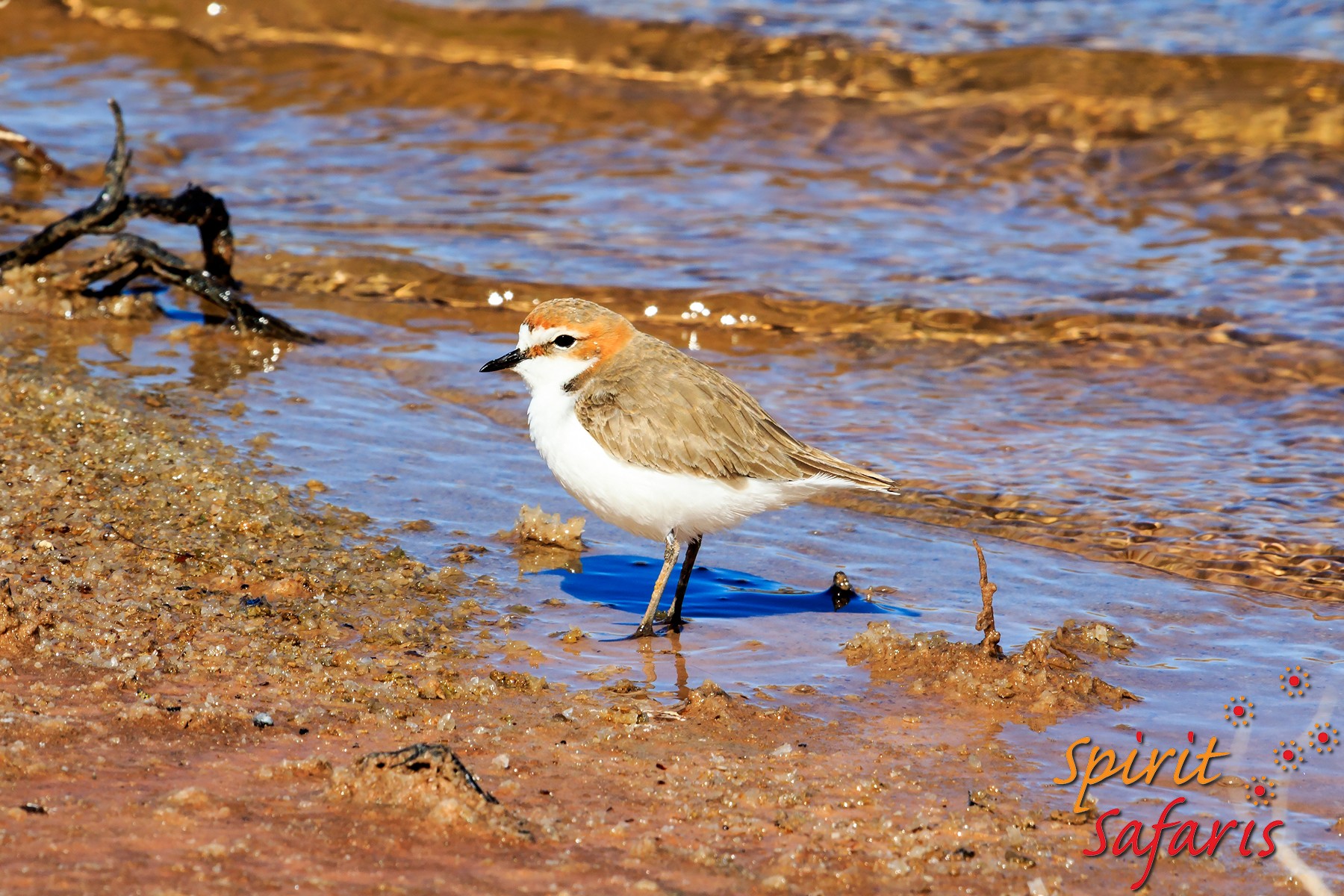 Canning Stock Route Tour from Alice Springs to Alice Springs via Gunbarrel Highway & Tanami Track 18 days