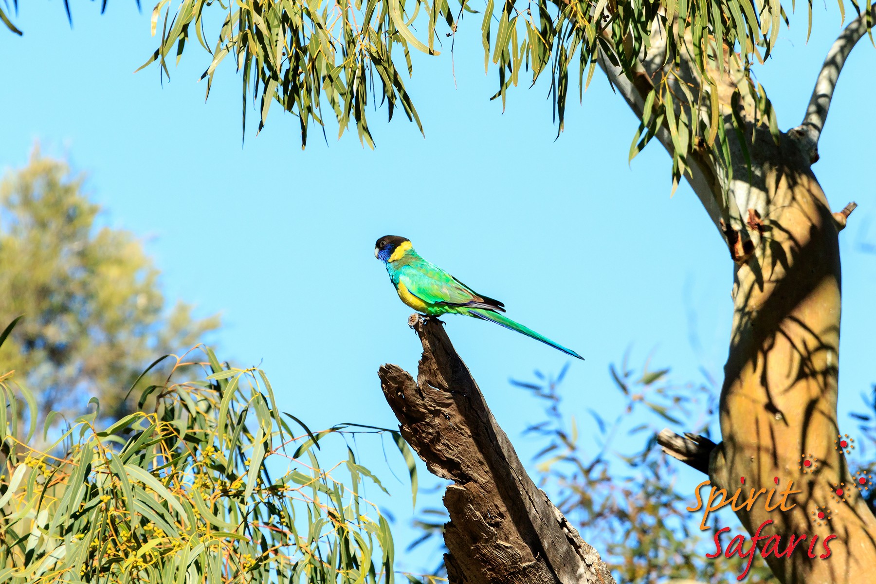 Canning Stock Route Tour from Alice Springs to Alice Springs via Gunbarrel Highway & Tanami Track 18 days