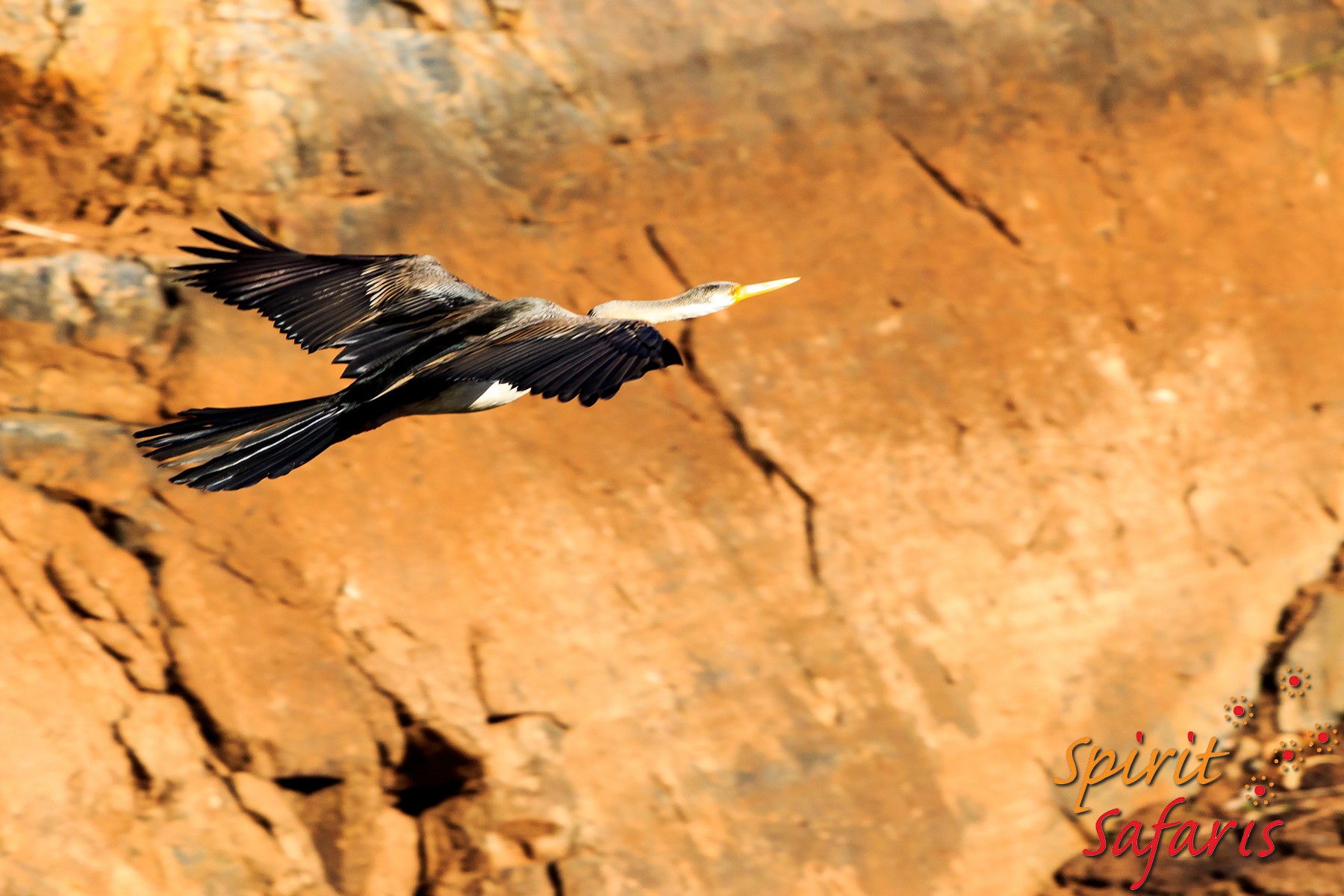 Canning Stock Route Tour from Alice Springs to Alice Springs via Gunbarrel Highway & Tanami Track 18 days