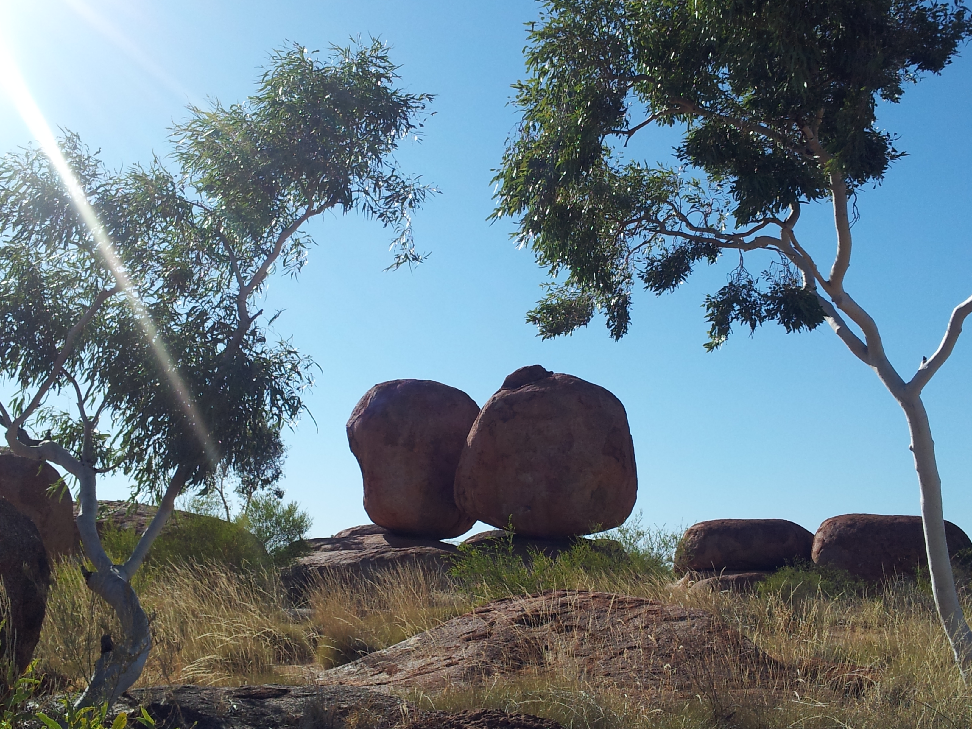 Alice Springs to Darwin via Utopia, Devils Marbles Mataranka, Daly Waters Katherine Gorge Tour 5 days