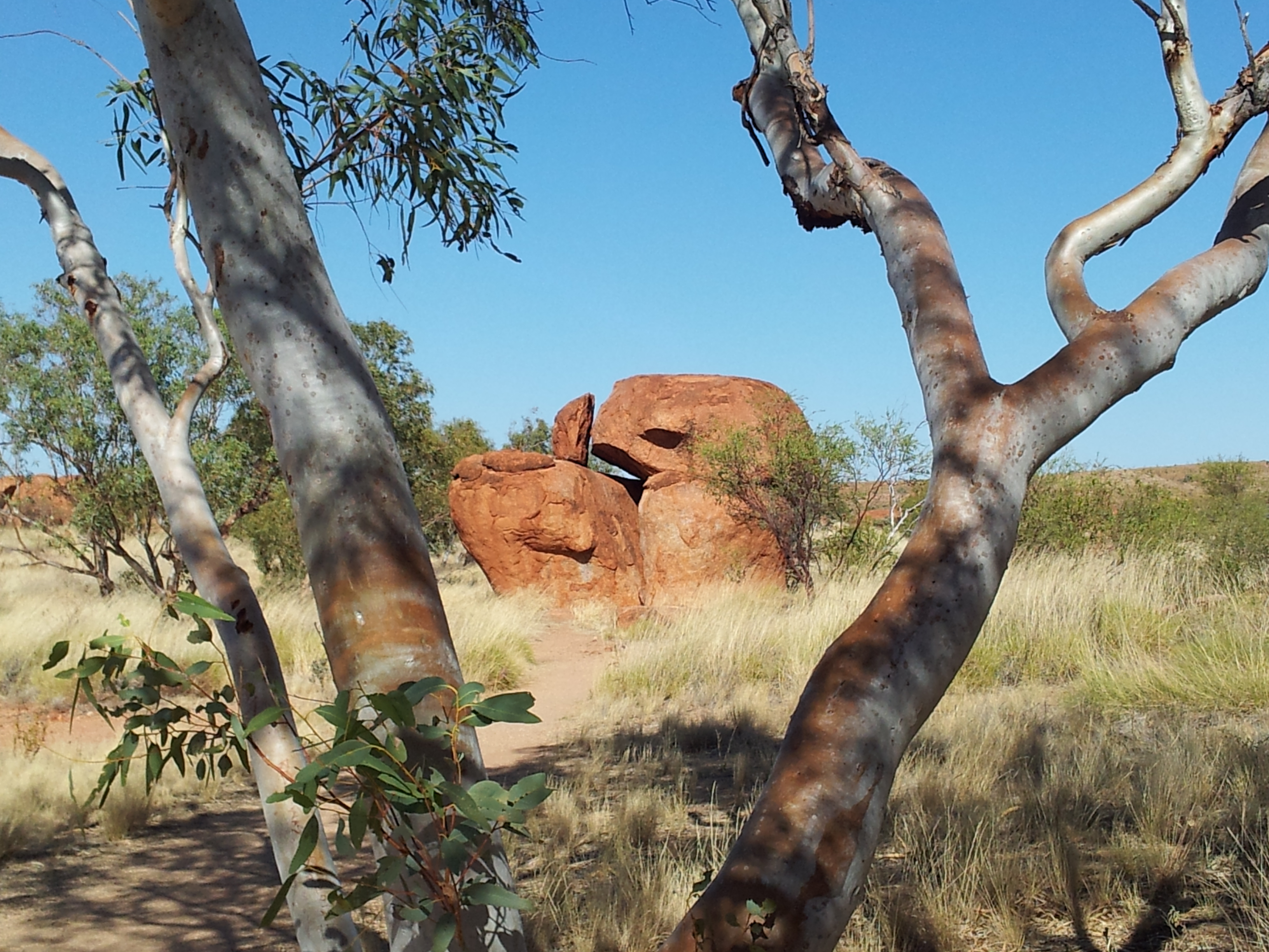 Alice Springs to Darwin via Utopia, Devils Marbles Mataranka, Daly Waters Katherine Gorge Tour 5 days