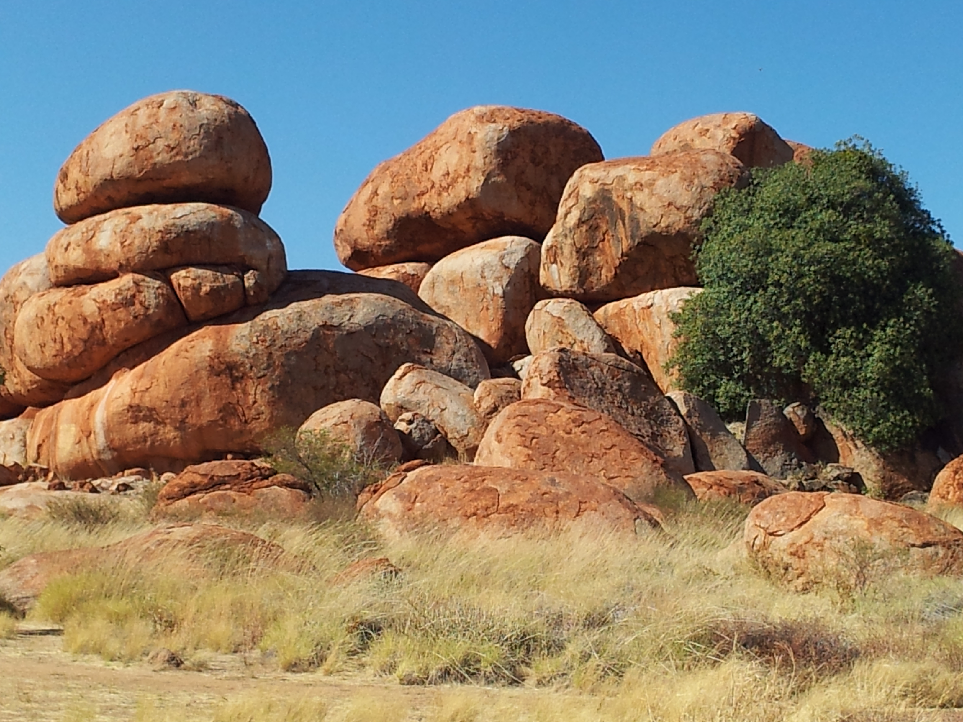 Alice Springs to Darwin via Utopia, Devils Marbles Mataranka, Daly Waters Katherine Gorge Tour 5 days