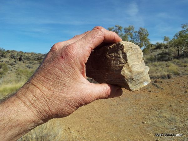 Gulf Savannah Way Darwin to Cairns Tours 14 Days