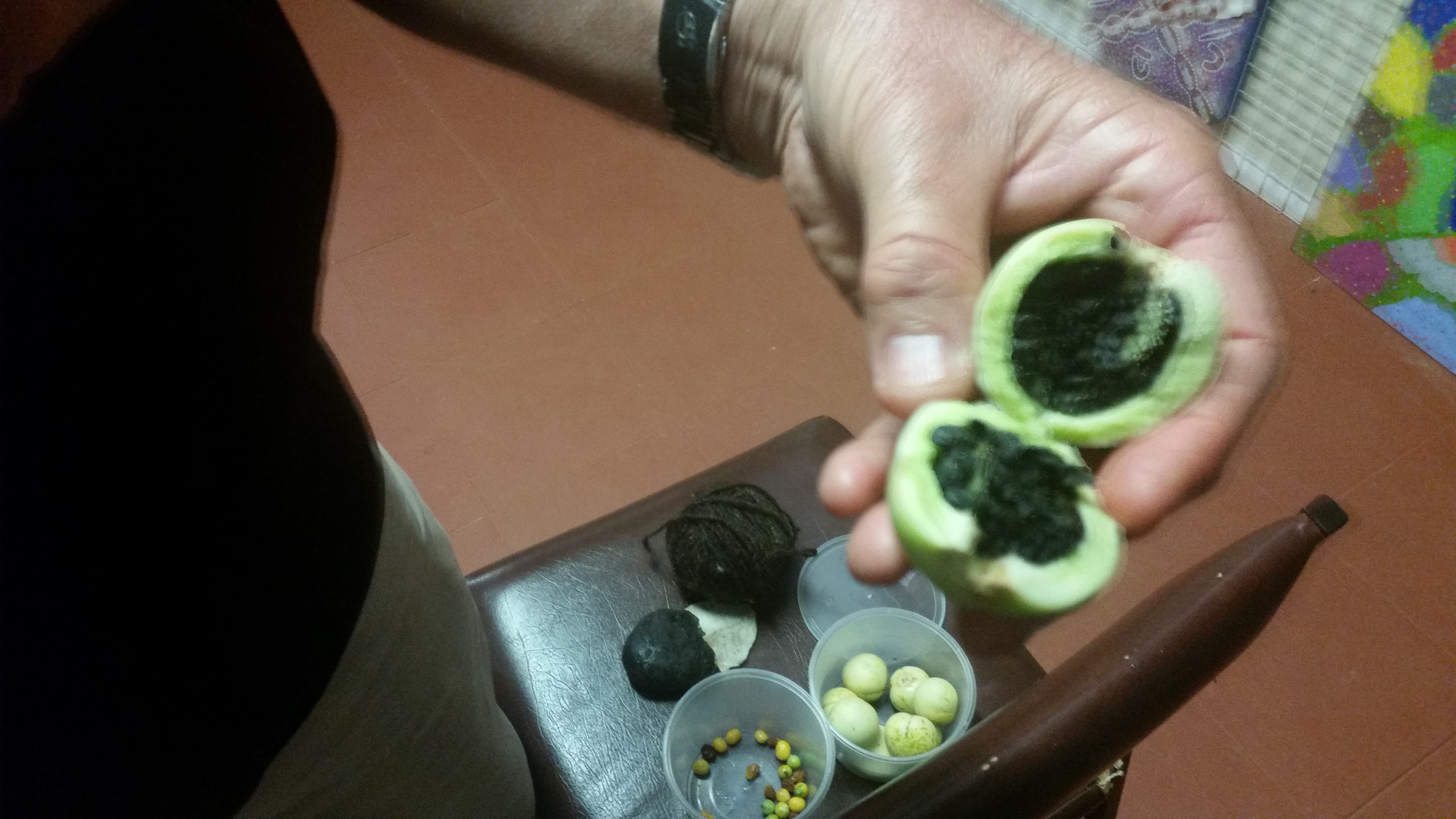 Alice Springs to Darwin via Utopia, Devils Marbles Mataranka, Daly Waters Katherine Gorge Tour 5 days