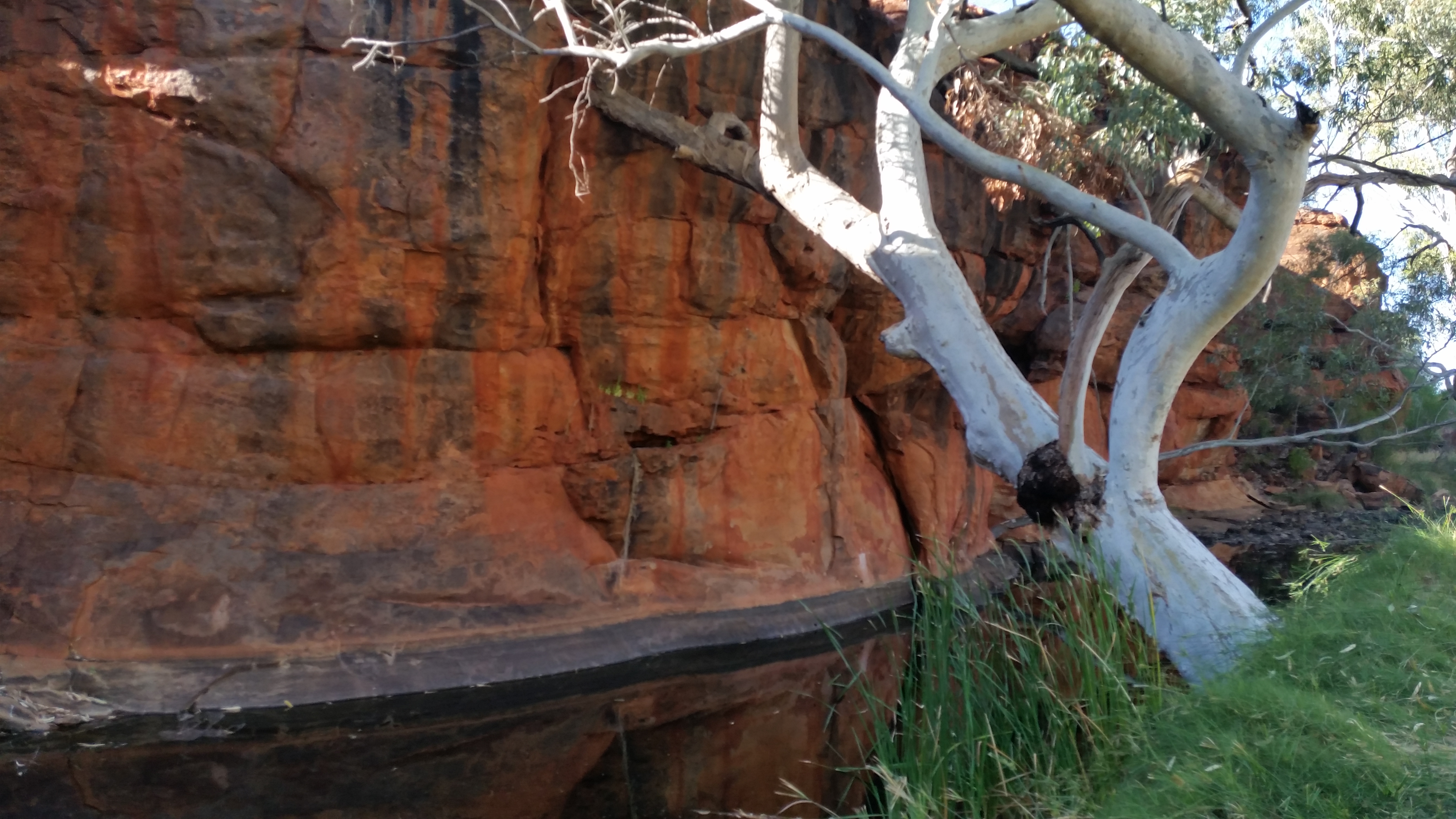 Canning Stock Route Tour from Alice Springs to Alice Springs via Gunbarrel Highway & Tanami Track 18 days