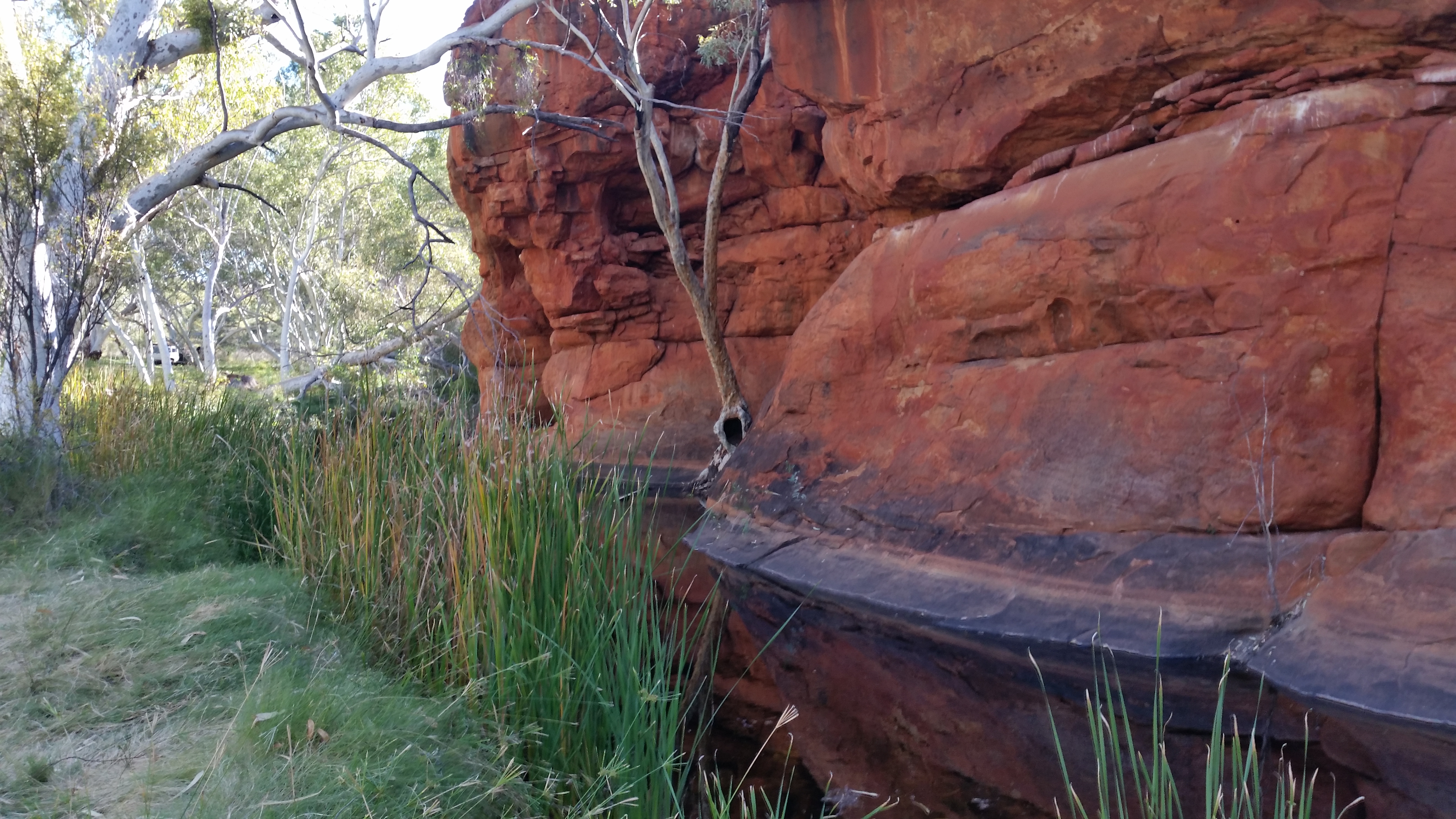 Canning Stock Route Tour from Alice Springs to Alice Springs via Gunbarrel Highway & Tanami Track 18 days