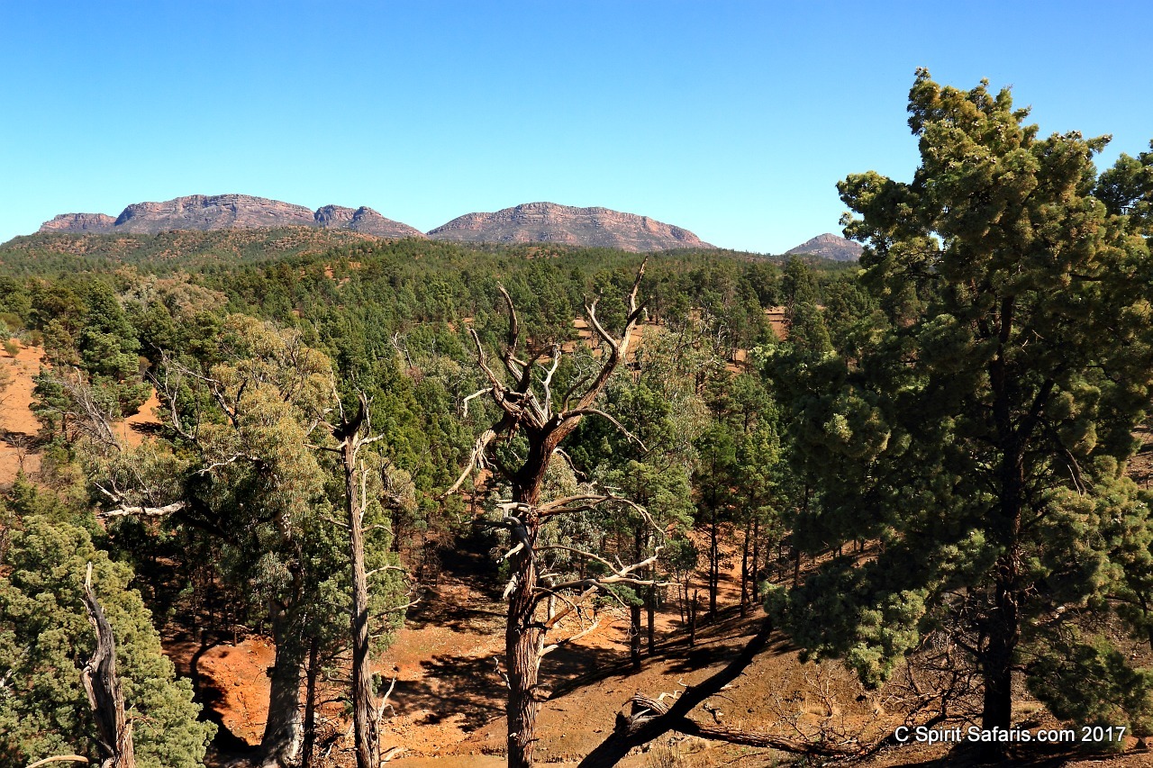 Lake Eyre from Sydney to Alice Springs via Mungo Broken Hill Coober Pedy and NSW Outback 5 days