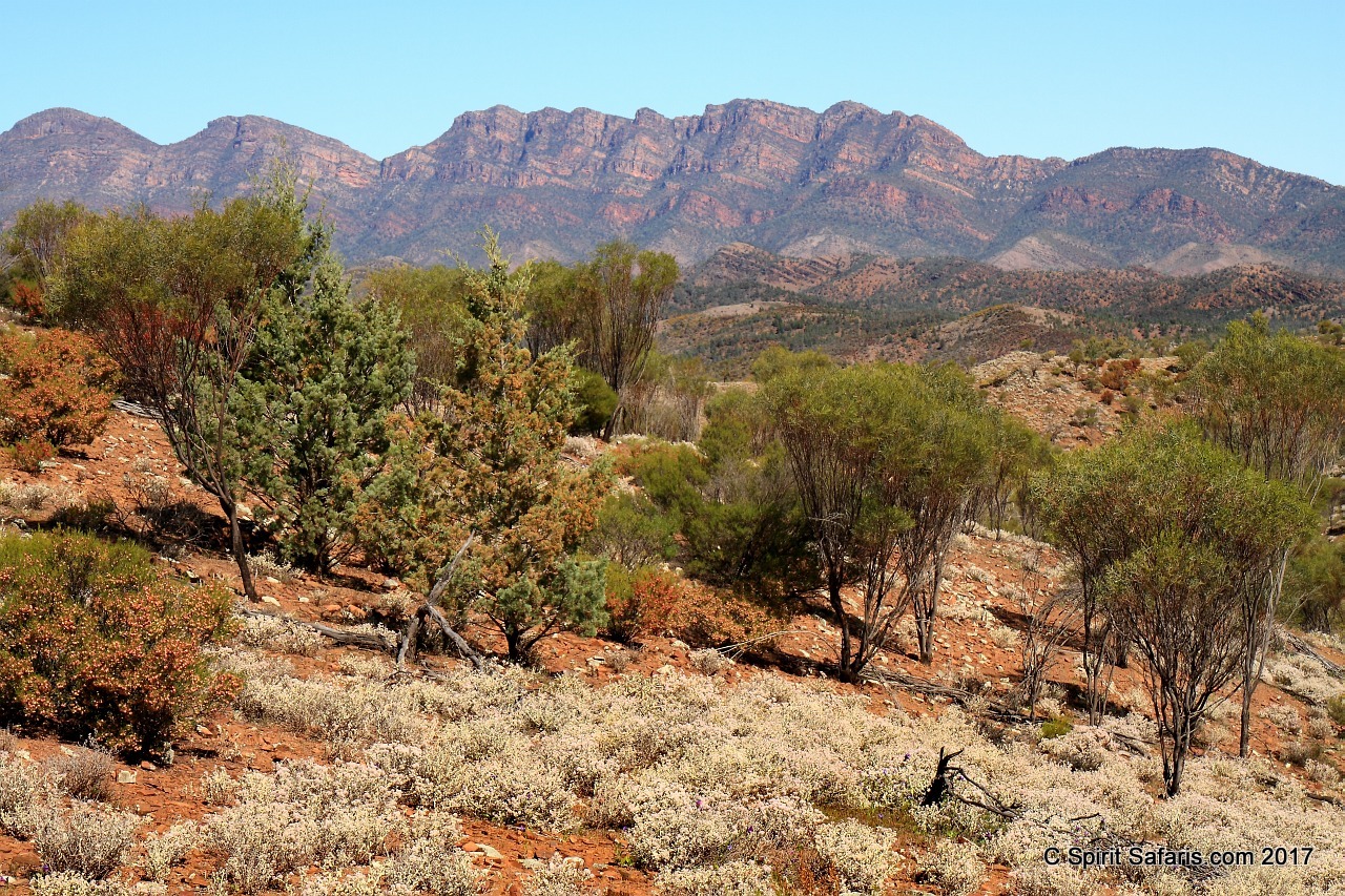 Lake Eyre from Sydney to Alice Springs via Mungo Broken Hill Coober Pedy and NSW Outback 5 days