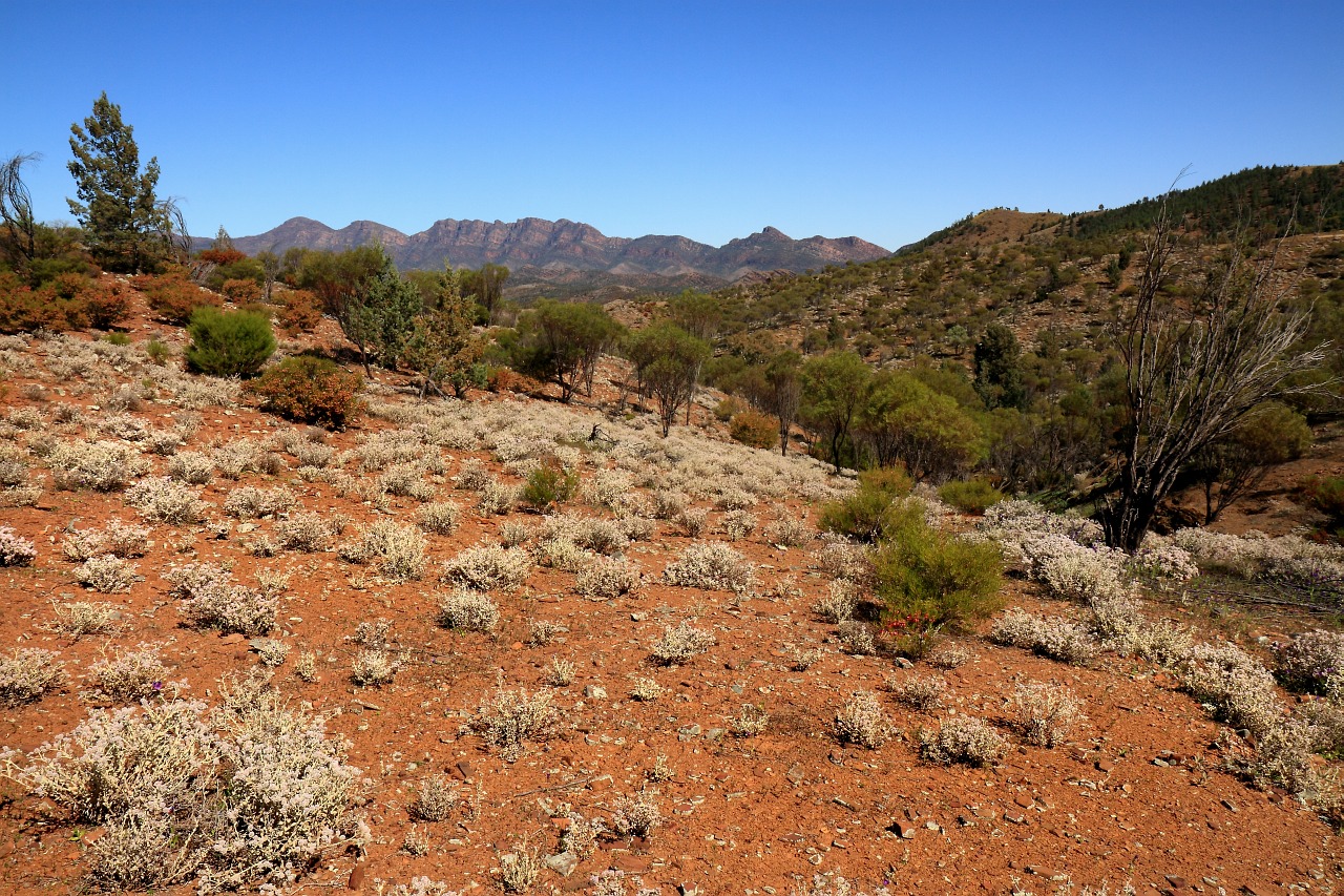 Arkaroola Wilpena Flinders Ranges Lake Eyre Tours 6 Days Spirit