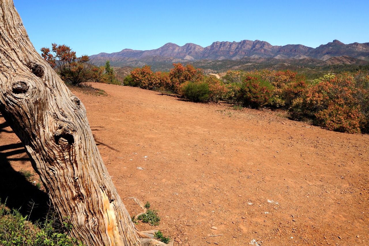 Arkaroola Wilpena Flinders Ranges Lake Eyre Tours 6 Days Spirit