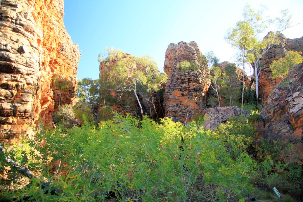 Gulf Savannah Way Darwin to Cairns Tours 14 Days