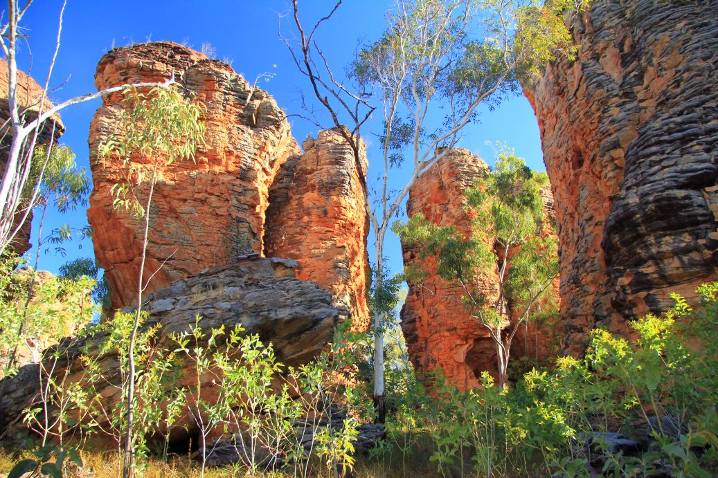 Gulf Savannah Way Darwin to Cairns Tours 14 Days