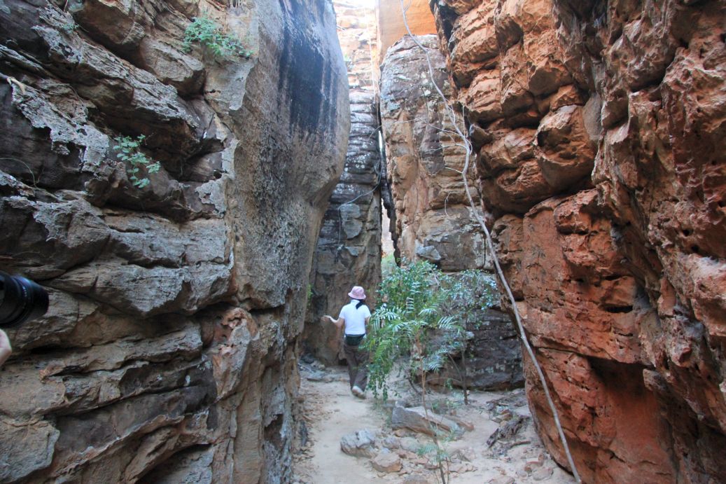 Gulf Savannah Way Darwin to Cairns Tours 14 Days