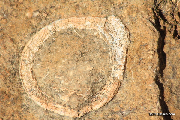 Gulf Savannah Way Darwin to Cairns Tours 14 Days