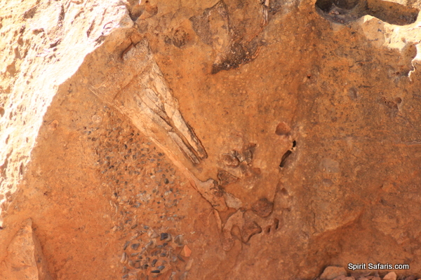 Gulf Savannah Way Darwin to Cairns Tours 14 Days