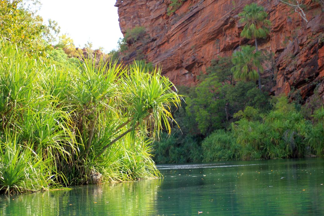 Gulf Savannah Way Darwin to Cairns Tours 14 Days