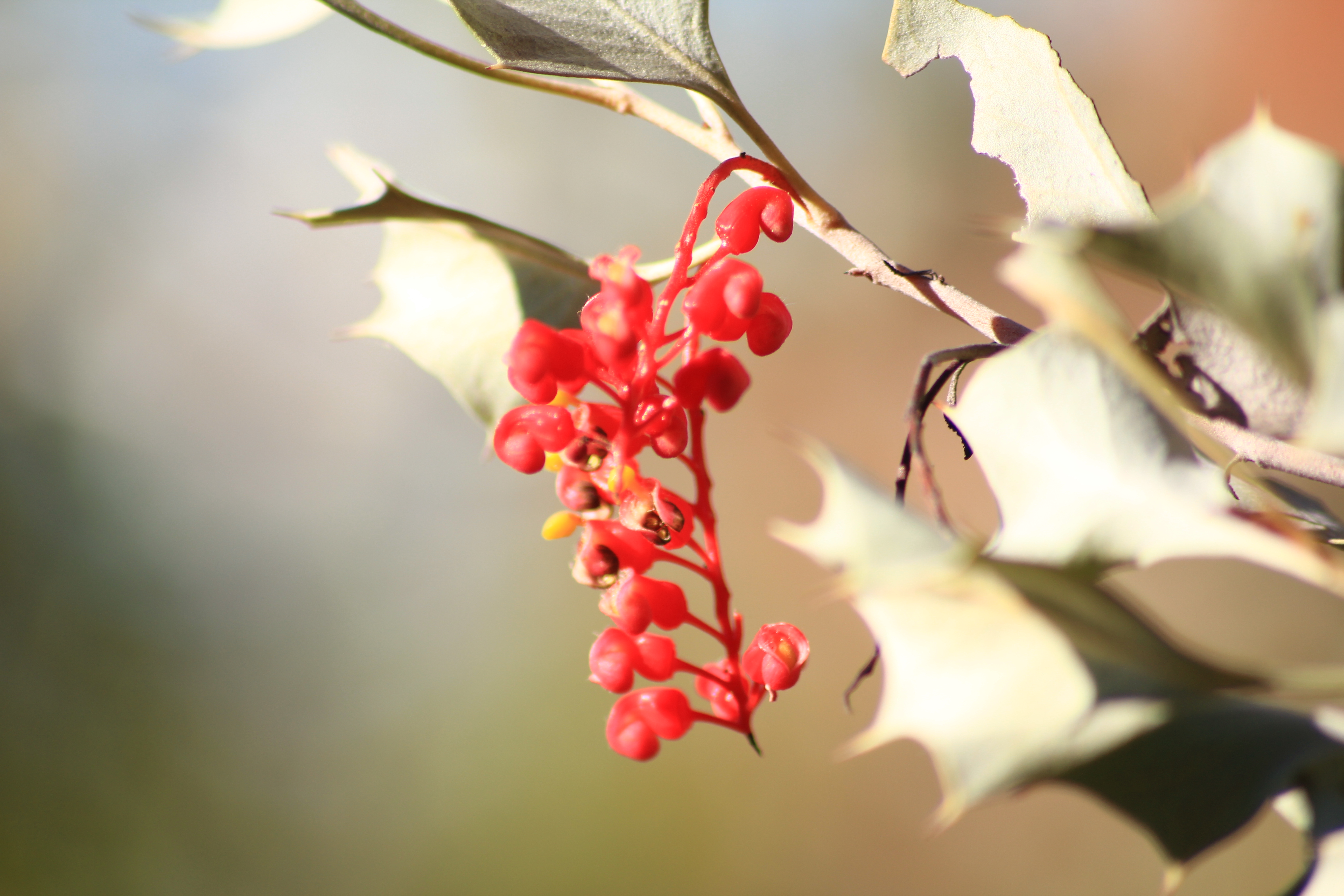 Canning Stock Route Tour from Alice Springs to Alice Springs via Gunbarrel Highway & Tanami Track 18 days