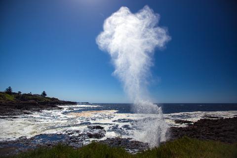 Kiama_blowhole