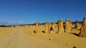 Broome to Perth via Kalbarri Karijini Ningaloo Monkey Mia Tour 10 day Tour via West Coast of Western Australia.