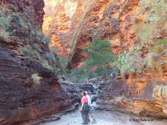  Kimberley Darwin to Broome Gibb River Road Home Valley Manning Gorge Mt Hart 8 days 