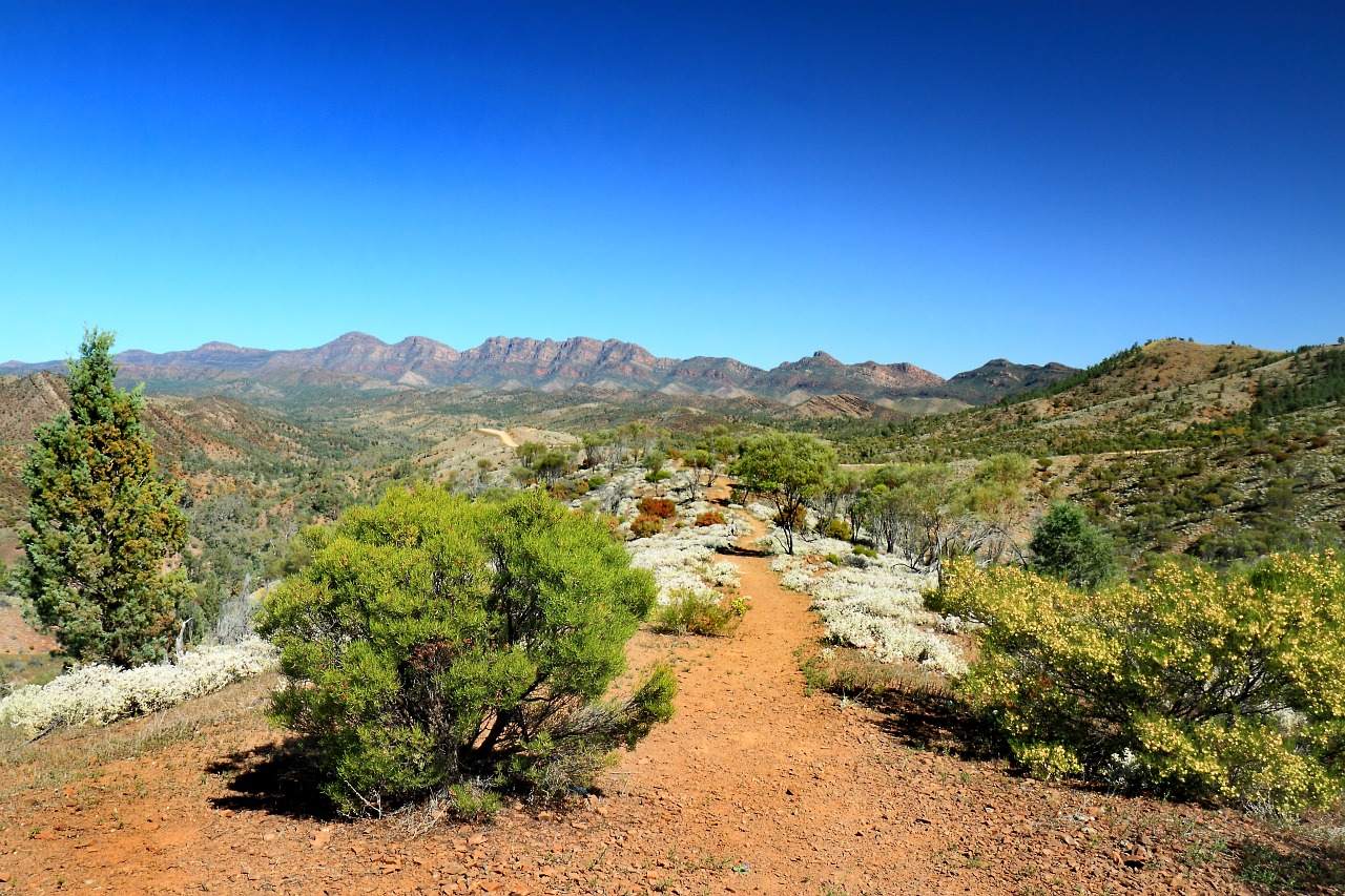 tours from wilpena pound to arkaroola