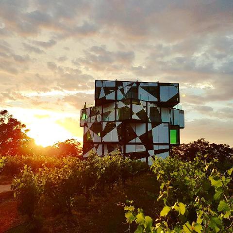 d_arenburg_cube_mclaren_vale_winery_tour