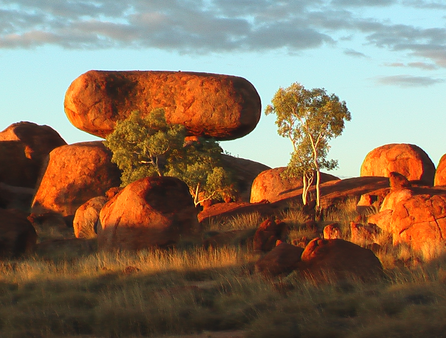 Alice Springs to Darwin via Utopia, Devils Marbles Mataranka, Daly Waters Katherine Gorge Tour 5 days