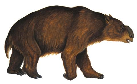 diprotodon