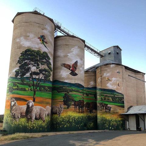 Silo Art Trail Mungo NSW Outback Tours Sydney to Broken Hill 6 days 