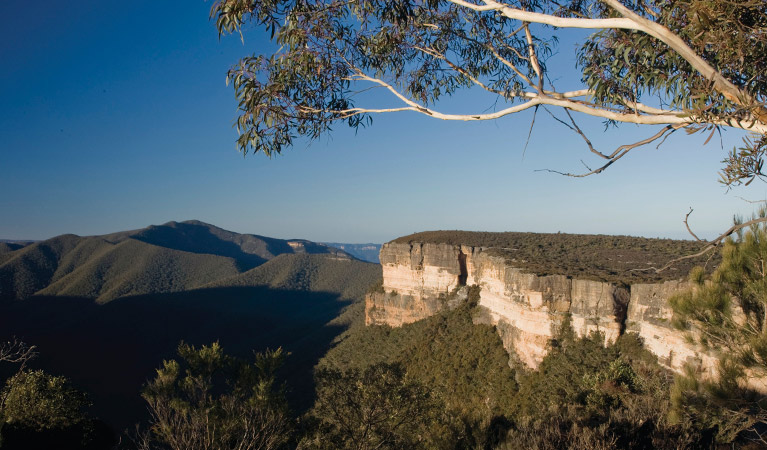 Jenolan Caves Blue Mountains & Wildlife Tour 2 days 