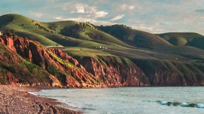 McLaren Vale Winery Tour 1 day