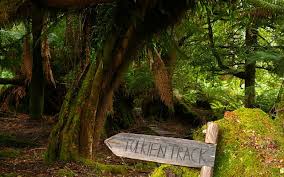 Tasmanian Wilderness Explorer 4WD Tours – 8 Day Tour