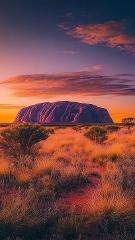 Journey to Clarity and Purpose 6 days