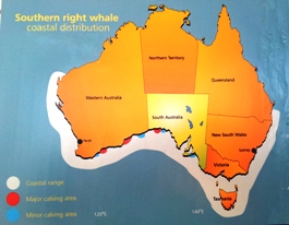 whales_watching_tour_map