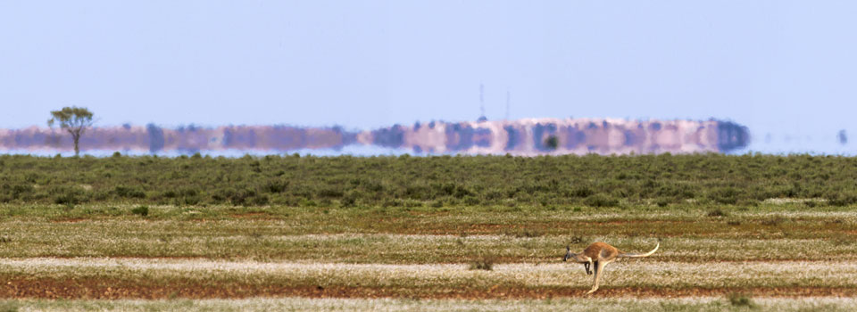 NSW Outback Bourke Macquarie Marshes Silo Art Mungo National Park Sydney to Broken Hill 8 days