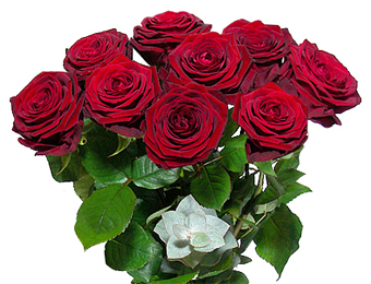 10 TALL RED ROSES