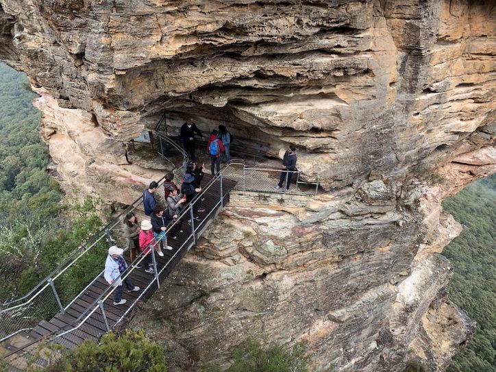 PJ Blue Mountains Supreme (Small Group MAX8)