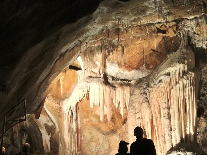 PJ Blue Mountains & Jenolan Caves (Small Group MAX 8)