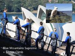 Blue Mountains Supreme + Bridge Climb