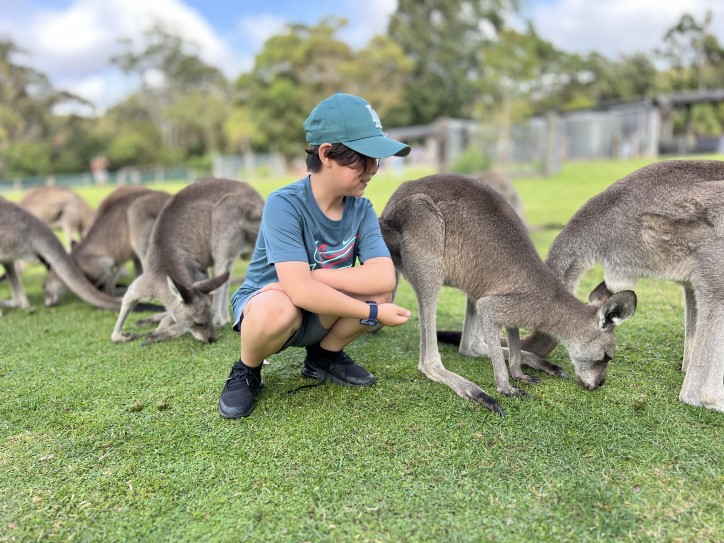 PJ Symbio Wildlife Park SHUTTLE