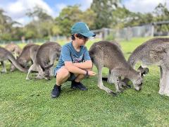 PJ Symbio Wildlife Park SHUTTLE