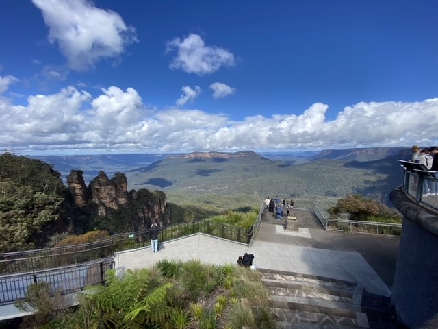 PJ Blue Mountains Supreme [MAX8+1]