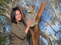 KOALA ENCOUNTER PHOTO [$35] + Free Kangaroo Food [$4] => ONLY $35