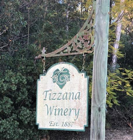 Tizzana_Vineyards_pic5___WC_website