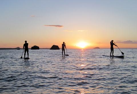 Stand Up Paddle Day Tour