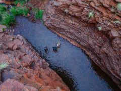 Dales Gorge and Fern Pool Karijini Experience