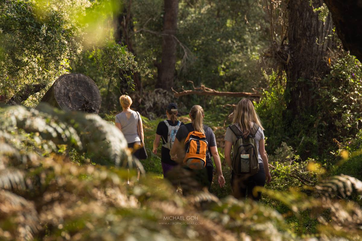 Yanchep Ghost House Wilderness & Wetlands Guided Hike | 13 km | 3 Hrs