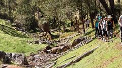 Quenda at Paruna Guided Hike | 6.5 km | 3 Hrs
