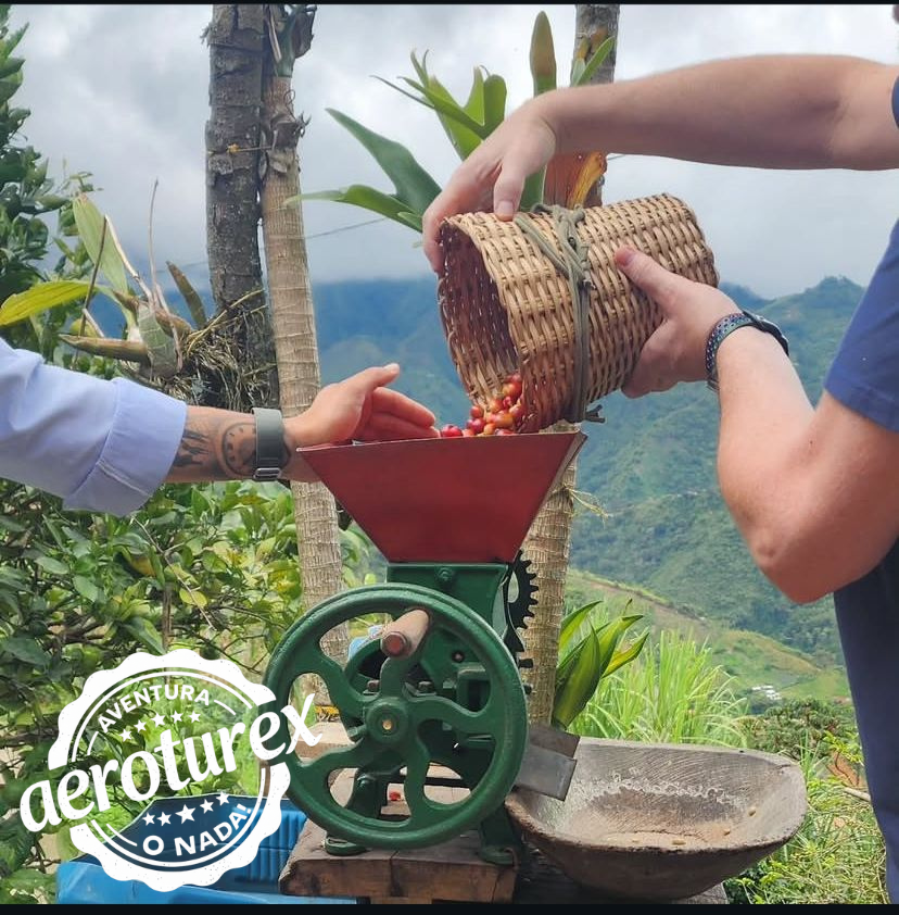 Tour del café