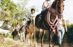 Cabalgata  (Tour Privado)